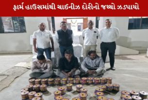 ઉત્તરાયણ નજીક આવતા જ ચાઈનીઝ દોરીનું ગેરકાયદે વેચાણ શરૂ થઈ ગયું