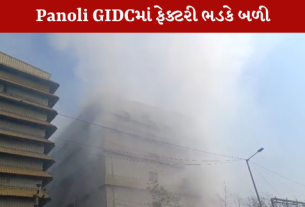 ભરૂચ અંકલેશ્વરની Panoli GIDCમાં ભીષણ આગ