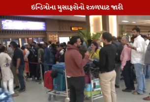 ઇન્ડિગો એરલાઇન્સનું સંકટ આવતા મુસાફરો મુશ્કેલી માં મુકાયા