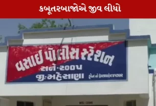 કબૂતરબાજોએ જીવ લીધો