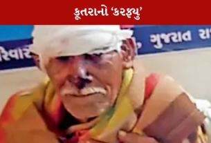 હડકાયા કૂતરા
