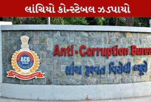 અરજીની તપાસમાં હેરાન ન કરવા લાંચ માંગી હતી