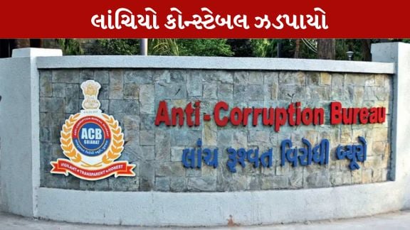 અરજીની તપાસમાં હેરાન ન કરવા લાંચ માંગી હતી