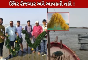 ગુજરાતનાં માછીમારો માટે રોજગારની નવી તકો