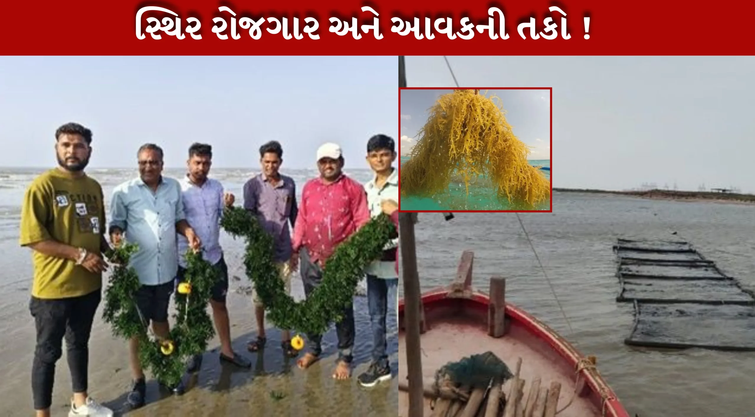 ગુજરાતનાં માછીમારો માટે રોજગારની નવી તકો
