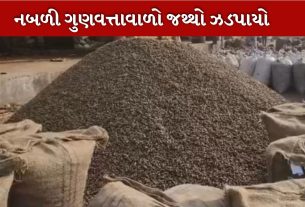 મગફળી