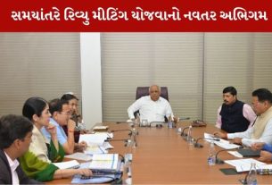 રાજ્ય મા હાઈ ઇમ્પેક્ટ પ્રોજેક્ટ્સની કામગીરી બાબતે મીટિંગ