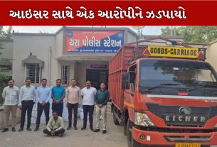 ચાઇનીઝ દોરી
