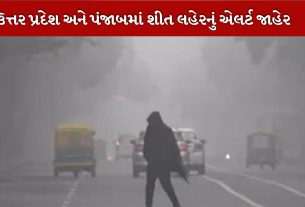 ઠંડી અને શીત લહેરની સ્થિતિ યથાવત છે