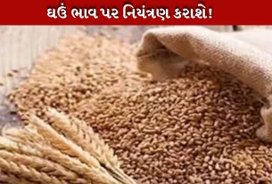 ગેરકાયદે સંગ્રહખોરી પર અંકુશ આવે તે હેતુસર કેન્દ્ર સરકાર