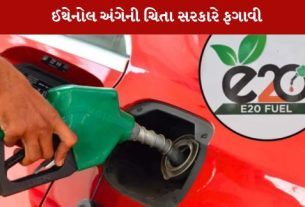 પેટ્રોલ ડીઝલ મા ઈથેનોલ ની ભેળસેળ