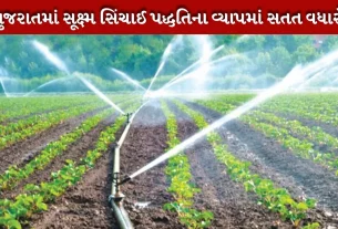 Farmers adopted micro-irrigation system