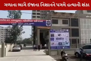 વડોદરા મા અંકોડિયા ગામની સીમમાં હત્યા
