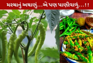 લીલા મરચાનું અથાણું, શિયાળા, રેસિપી