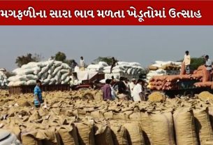 મગફળી