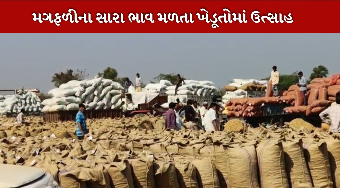 મગફળી