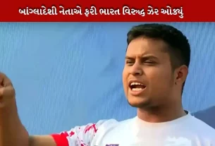 હસનત અબ્દુલ્લાનો ભારત વિરોધી નિવેદ