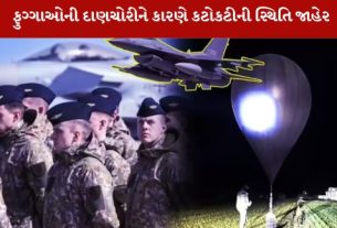 ફુગ્ગાઓની દાણચોરીને કારણે હાઇબ્રિડ હુમલો કહી કટોકટીની સ્થિતિ જાહેર કરી