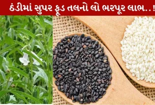 Sesame, તલ, શિયાળા, ડાયેટ, ટિપ્સ