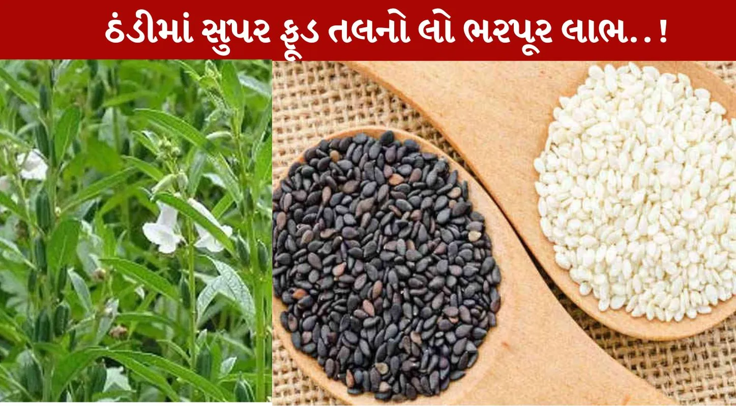 Sesame, તલ, શિયાળા, ડાયેટ, ટિપ્સ