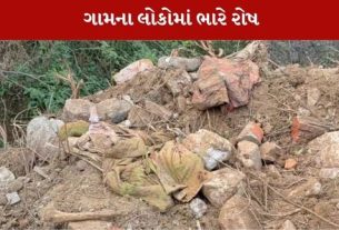 મહીસાગર મા પૂર્વજો ની સમાધિ