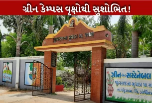 ગ્રીન સ્કૂલ એવોર્ડ મેળવી ગાંધીનગરની પ્રાથમિક શાળાએ મેળવ્યો |MANTAVYA NEWS