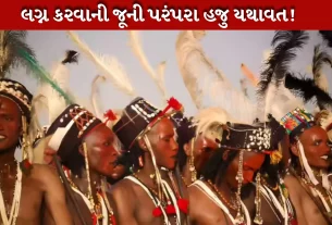 વિશ્વભરમાં લગ્નની પરંપરાઓ જેટલી સુંદર છે તેટલી જ અનોખી