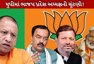ભાજપના પ્રદેશ અધ્યક્ષની ચુંટણી
