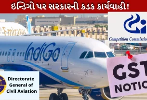 ઇન્ડિગો સામે સરકારની ત્રિ-સ્તરીય કાર્યવાહી,