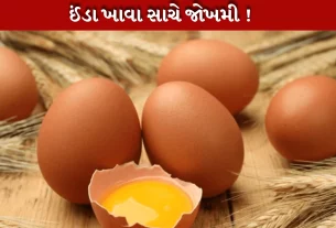 ઈંડામાં સાચે કેન્સરજન્ય રસાયણ હોય ?
