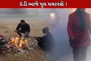શીત લહેર (Cold Wave) અને ગાઢ ધુમ્મસ (Dense Fog)ની ચપેટમાં આવી ગયું છે