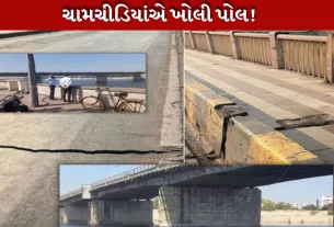તમામ મુખ્ય બ્રિજ (Bridge)નું બે વખત ઈન્સપેકશન(Inspection) કરવામાં આવશે.