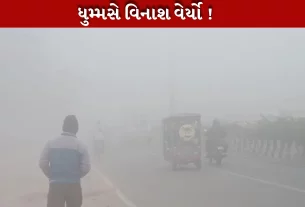 ઉત્તર ભારતમાં ધુમ્મસે વિનાશ વેર્યો