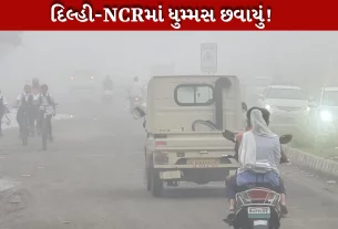 હવામાન વિભાગ દ્વારા વરસાદમાં યલો એલર્ટ જાહેર કરાયું