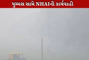 NHAIની ધુમ્મસ સામે કાર્યવાહી