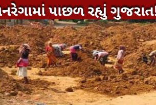 મનરેગા