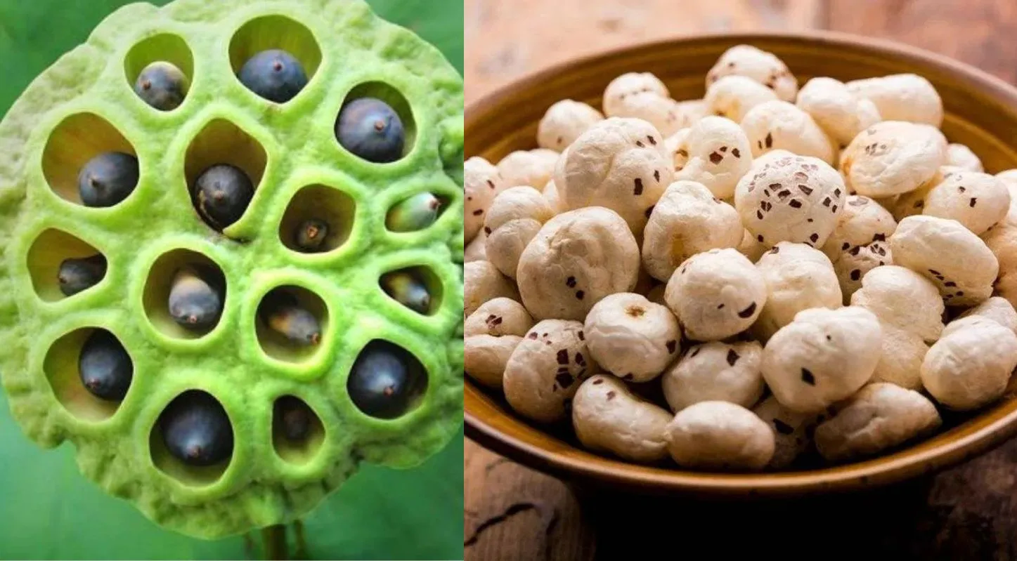 મખાના, હૅલ્ધી, રેસિપી, ટિપ્સ