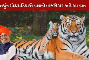 NTCA