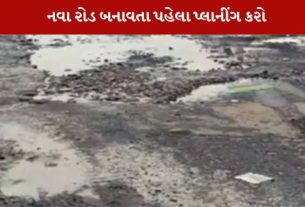 રાજય સરકાર પૈસા આપી દે છે એટલે રોડ તૈયાર કરી દેવા તેમ નહી