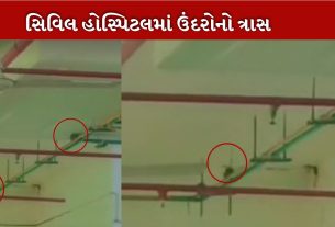 ગાંધીનગર સિવિલ હોસ્પિટલમાં ઉંદરોનો ત્રાસ