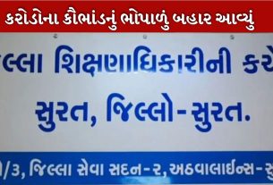 સુરત જિલ્લા શિક્ષણાધિકારી (DEO) બોગસ સહી કૌભાંડ