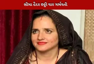 સીમા હૈદર ફરી ગર્ભવતી છે. તે છઠ્ઠા બાળકની અપેક્ષા રાખી રહી છે.