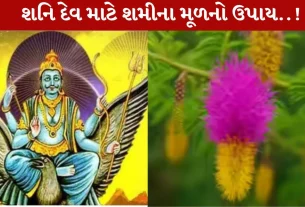 શનિદેવ, શમી મૂળ, જ્યોતિષ શાસ્ત્ર