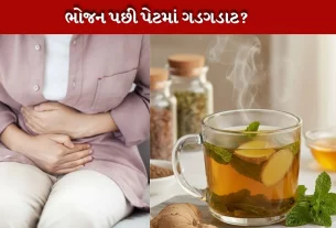 ભારે ભોજન પછી પેટ (stomach) ના ગડગડાટ માટે Home remedies