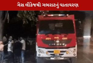 ગેસ લીકેજની ઘટનાને પગલે નાસભાગ મચી ગઈ