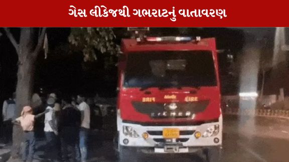 ગેસ લીકેજની ઘટનાને પગલે નાસભાગ મચી ગઈ