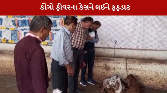 વિદ્યાર્થીના લોહીના નમૂના લેબોરેટરીમાં તપાસ માટે મોકલી અપાયા