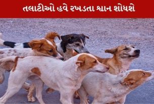 તલાટીઓને રખડતા શ્વાન શોધવાની સુચના