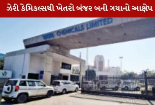 ટાટા કેમિકલ્સ લિમિટેડ મારફતે દ્વારકા ના સમુદ્ર માં ગંદકી