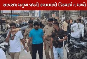 તથ્ય પટેલ ઈસ્કોન બ્રિજ એક્સિડેન્ટ કેસમાં મુખ્ય આરોપી છે